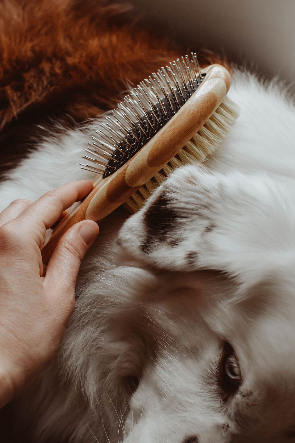 Lilly Brush Fluffy Pets Brush