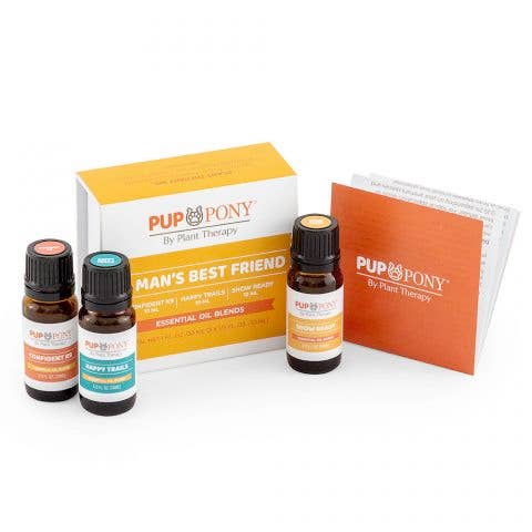 Plant Therapy Essential Oil Blend 6 Set in Lovin' Fall Most of All -  Organic Bunny